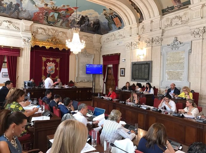 Pleno de Málaga. Junio de 2017 
