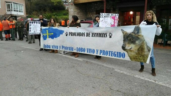 Colectivo defensa del lobo se manifiestan en Illas contra las batidas. 
