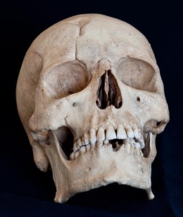 Calavera del Museo Canario