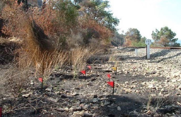 Inicio de un fuego originado por una chispa del tren