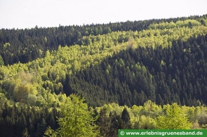 Paisaje en Alemania del proyecto Green Belt.