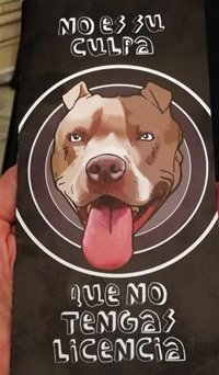 El Ayuntamiento de Alicante inicia una campaña para que dueños de perros peligrosos cumplan las normas