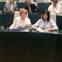 PSOE reivindica su papel de oposición "constructiva" ya que su "única ambición" es "mejorar la vida de los madrileños"