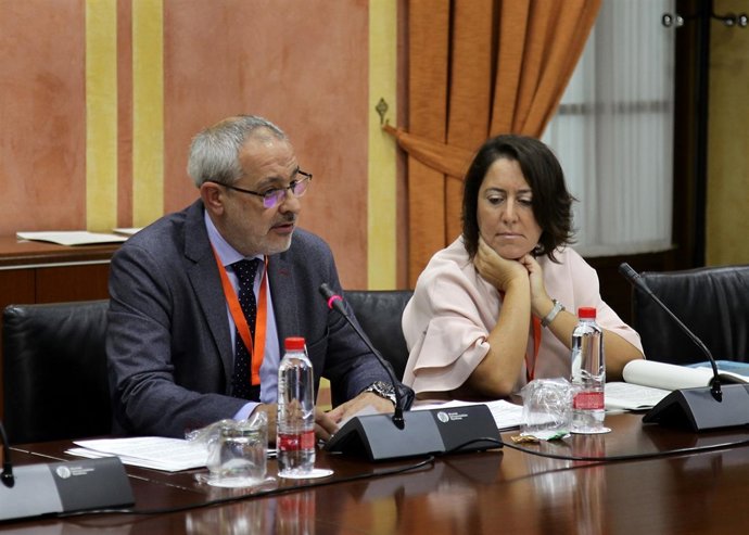 José Morgado, durante su comparecencia