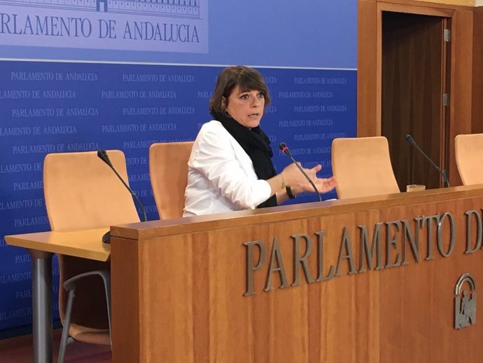 La portavoz adjunta de IULV-CA Elena Cortés en rueda de prensa