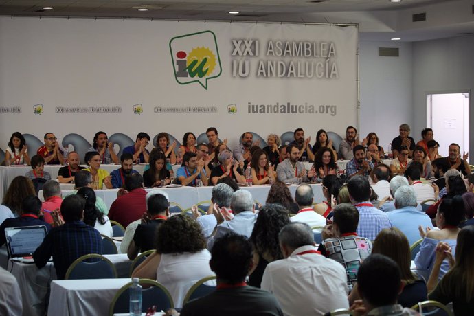 XXI Asamblea De IULV-CA