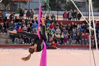 Pizarra acogerá en noviembre el I Encuentro Profesional de Circo, una disciplina con "salud y proyección"