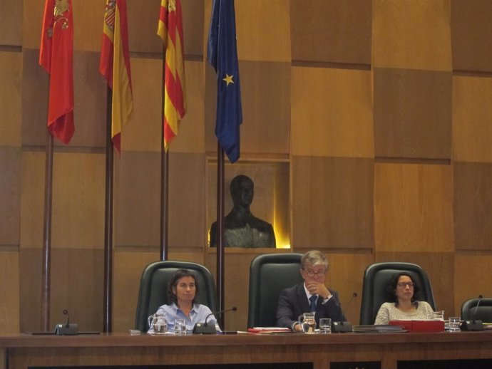                               Pleno Del Ayuntamiento De Zaragoza