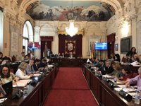 El Pleno de Málaga aprueba reclamar a la Junta "la deuda" en concepto de la Patrica