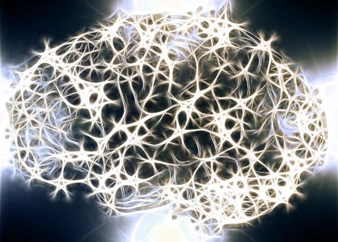 Cerebro, conexiones cerebrales