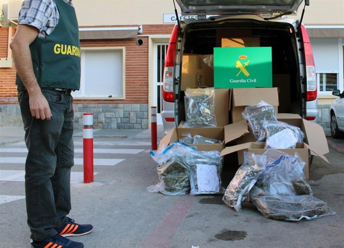 Marihuana intervenida