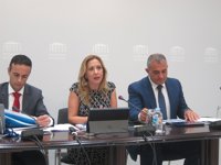 Canarias rechaza que haya un "mercadeo político" con los PGE y ve "desconocimiento" en las críticas de Susana Díaz