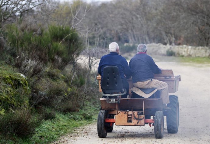 Conducir tractor, tractores, agricultor, agricultores, vida en el campo