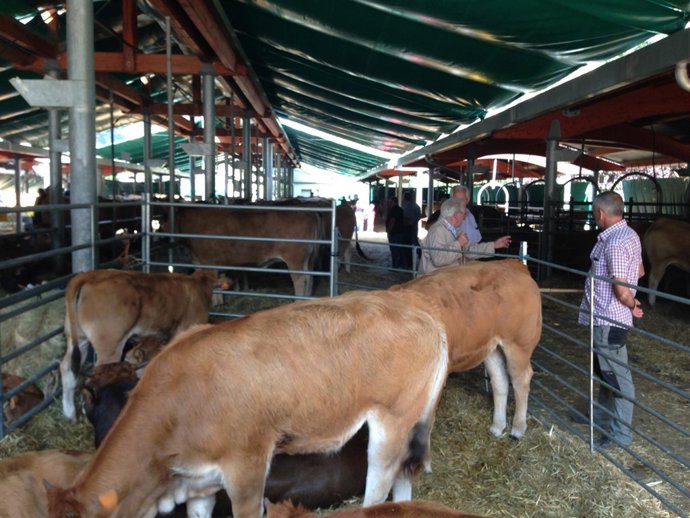 FERIA DEL PRIMERO DE NOVIEMBRE EN SOMIEDO