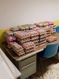 Denuncian a 20 personas por tirar huevos a la calle y a los autobuses en Halloween