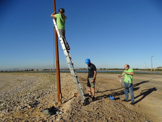  Colocación De Cajas Refugio Para Murciélagos