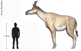 Decennatherium rex
