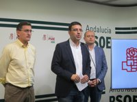 PSOE-A: Podemos busca "poner la autonomía al servicio del independentismo" con "complicidad" de IU