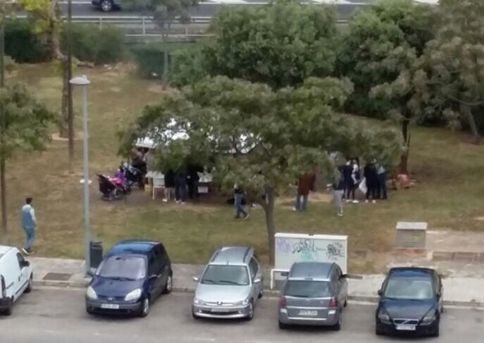 Situación de abandono de Nou Llevant denunciada por el PP