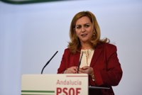 PSOE-A urge una nueva financiación local y que el Gobierno "cumpla" con el TC sobre las plusvalías