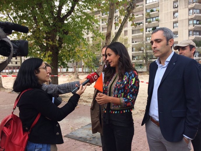 Villacís en la parcela de Raimundo Fernández Villaverde 50