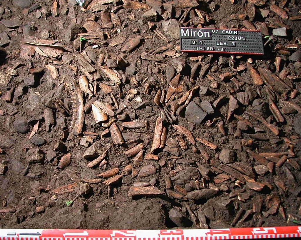 Las investigaciones en la Cueva del Mirón, en la Enciclopedia de