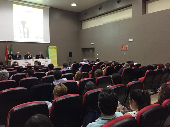 Reunión especialistas medicina interna sociedad andaluza sademi málaga ronda ana