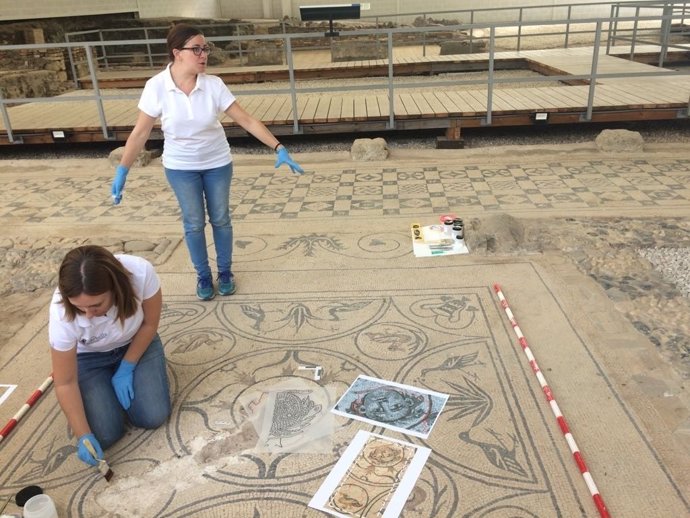 Restauración de mosaico expoliado de la medusa de la villa romana de marbella