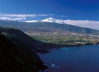 Tenerife promocionará el clima, la naturaleza, la gastronomía y el vino en la World Travel Market