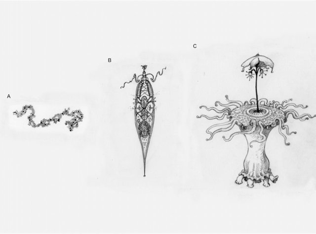 Diferentes niveles de complejidad adaptativa en vida alienígena