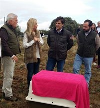 Cifuentes escribe una carta a Carmena pidiéndole "mayor agilidad" en la información sobre escenarios anticontaminación