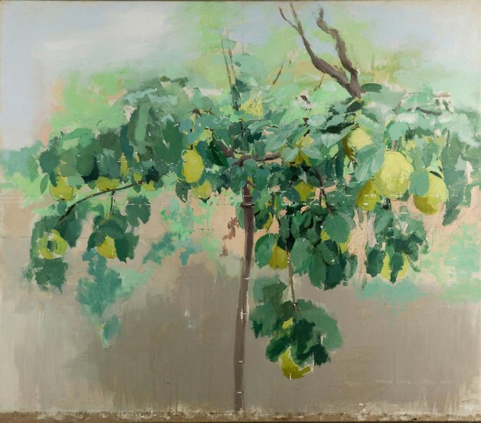 Obra de Antonio López 'El membrillero'