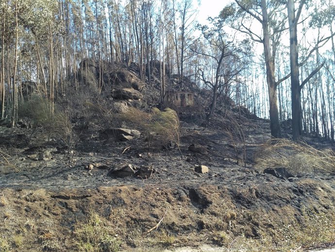 Zona quemada en un incendio en Chandebrito