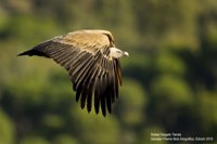 La Junta convoca el XI Premio Bolo de Fotografía del Parque Natural Sierra de Cardeña y Montoro
