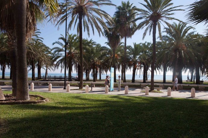 Torremolinos málaga turismo turistas sol playa oasis palmeras viajeros visitante