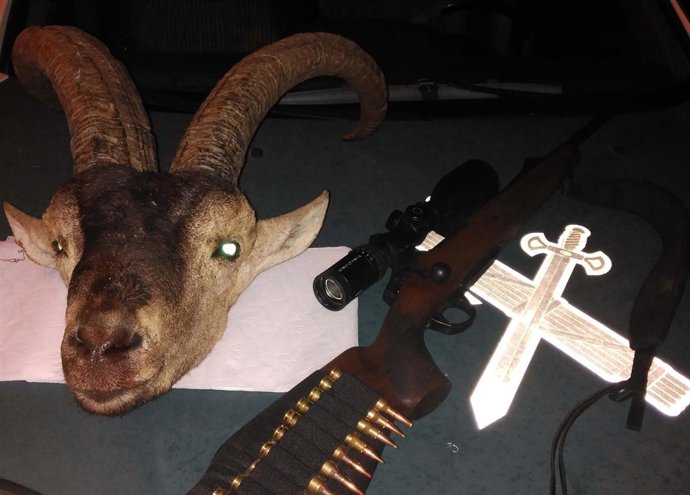 Cabeza de macho montés intervenida por la Guardia Civil