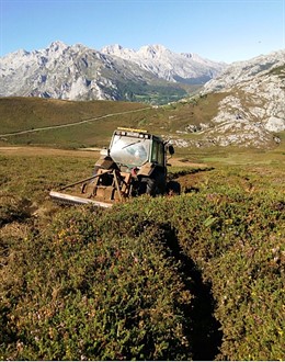 Nota Prensa Y Foto Labores Desbroce Parque Nacional Picos De Europa