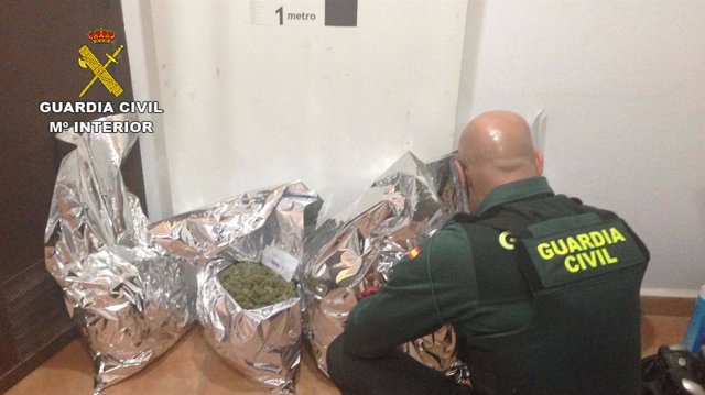 La Guardia Civil se incauta de marihuana