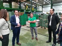 Cooperativas de espárrago de Granada reciben más de 530.000 euros de Junta para incentivar la modernización del sector