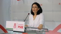 El PSOE pide "responsabilidad" a los partidos políticos por su "alarmismo" sobre las "incidencias" de las ambulancias