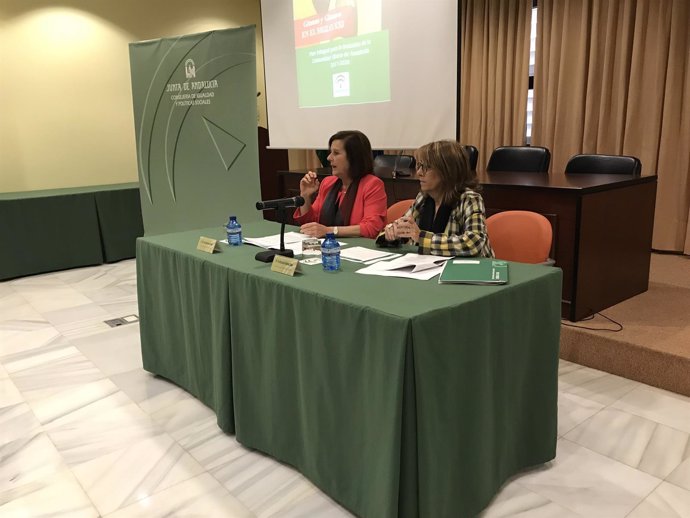La consejera andaluza de Igualdad, María José Sánchez Rubio, en rueda de prensa