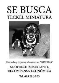 Un vecino de Alcalá ofrece 10.000 euros a quien encuentre a su perro 'Lonchas', que desapareció hace dos semanas