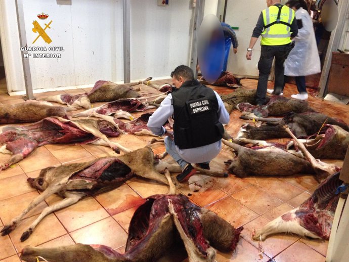 La Guardia Civil ha decomisado más de cinco toneladas de carne de caza mayor