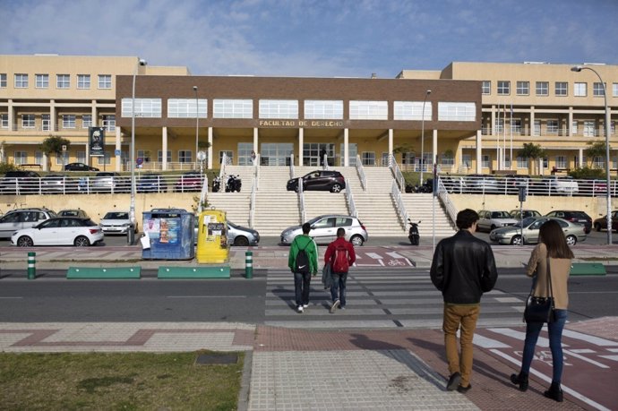 Universitarios, universidad, UMA, derecho 