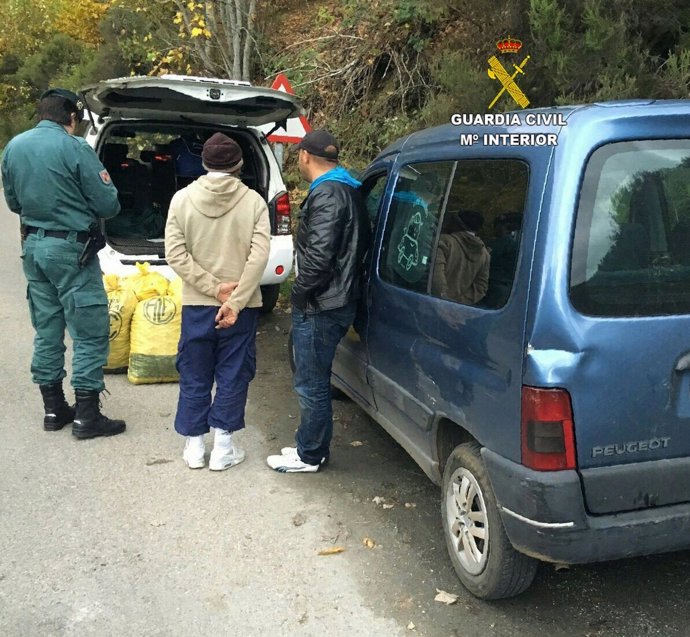 León: Detenidos por el robo de castañas