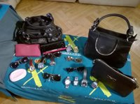 Desmantelada una red de búlgaros que usaba a menores para realizar hasta 187 hurtos en las fiestas patronales