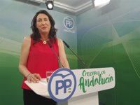 PP-A asegura que la gestión en Nerja (Málaga) es "pésima" y que se trabaja en la vía de una moción de censura