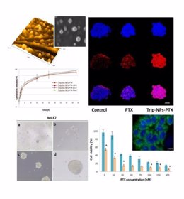 Fármacos con nanopartículas para celulas que causan recaída del cáncer de mama