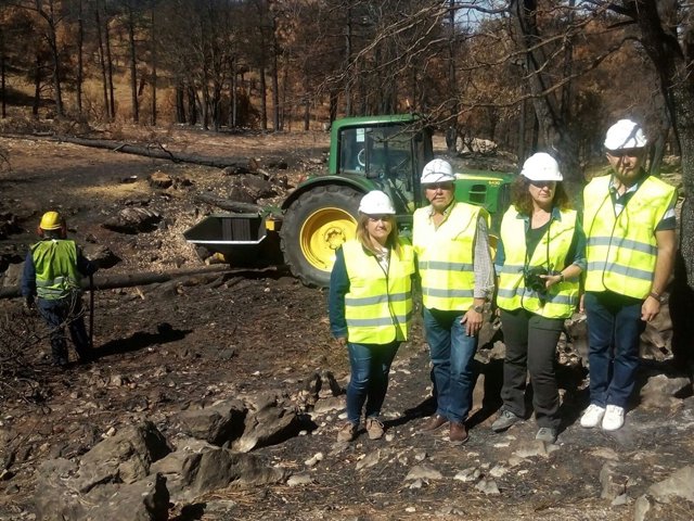 Vista a los trabajos tras el incendio de Segura de la Sierra