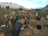 Incautan rabo de gato en La Palma que iba a ser usado en un curso